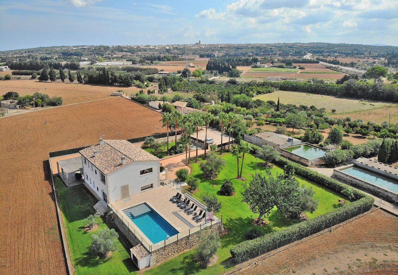 Finca in Muro - Son Sastre 024 luxuriöse Villa mit großem Pool, Klimaanlage, Garten und Terrasse