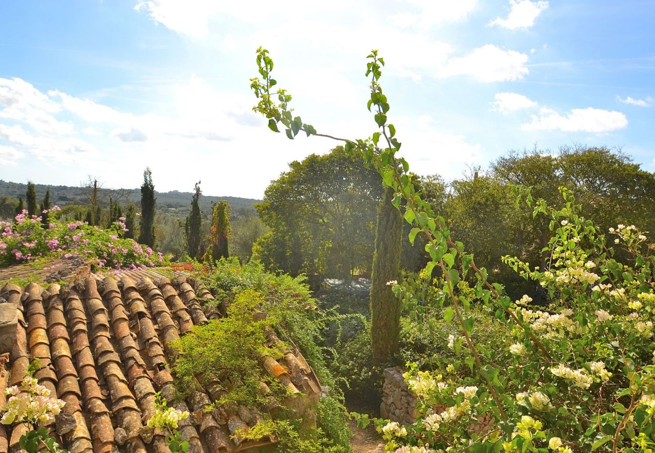 Finca in Llubi - Son Barraquer 047 traditionelle Finca mit Pool und herrlichem Garten