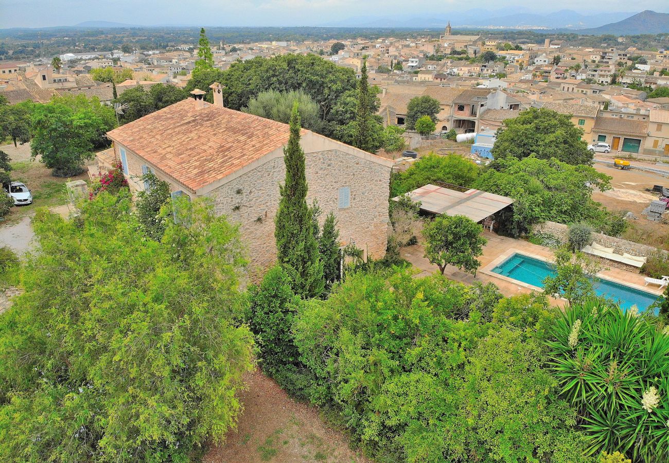 Finca in Llubi - Son Barraquer 047 traditionelle Finca mit Pool und herrlichem Garten