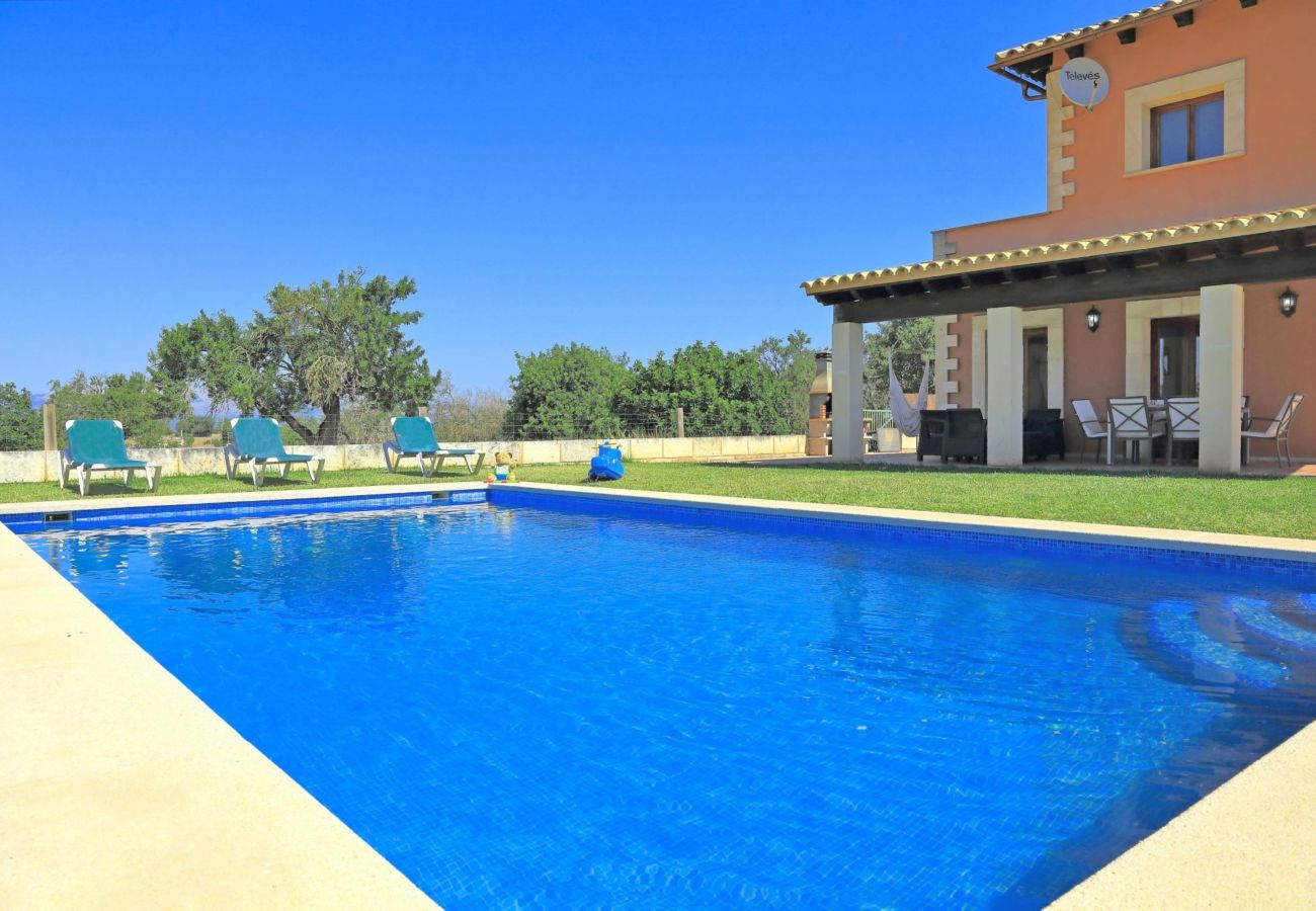 villa, schwimmbad, ferienvermietung, mallorca, sommer