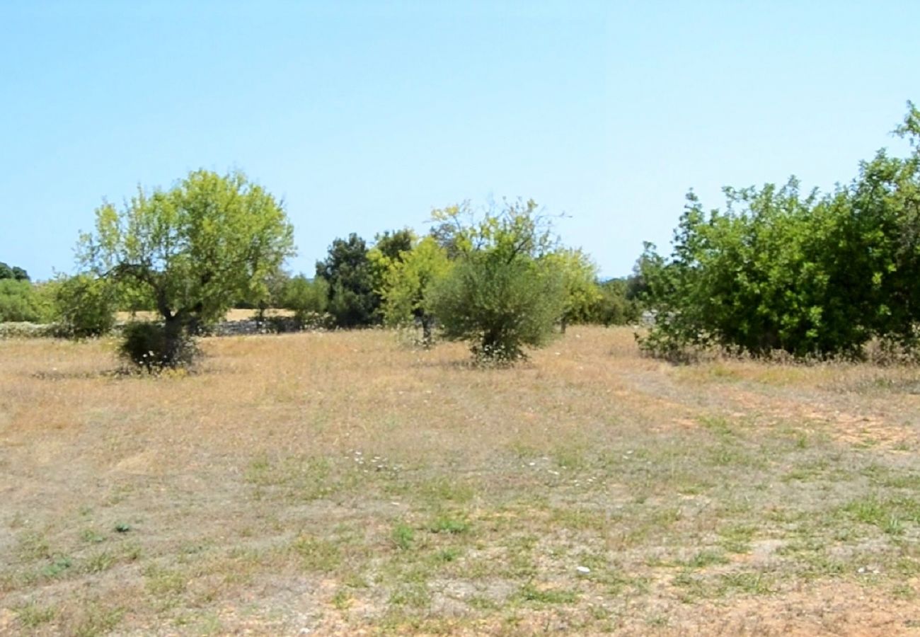 Finca in Llubi - Son Bernat 137 gemütliche Finca auf dem Lande mit privatem Schwimmbad, Terrasse, Garten und WLAN