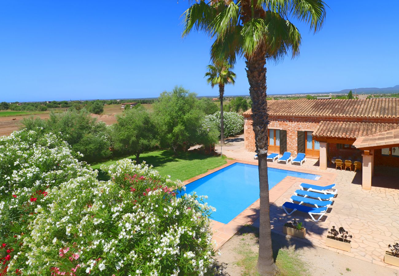 Finca in Campos - Can Mates Nou 404 fantastische Finca mit privatem Pool, Terrasse, Tischtennisplatte und Klimaanlage.