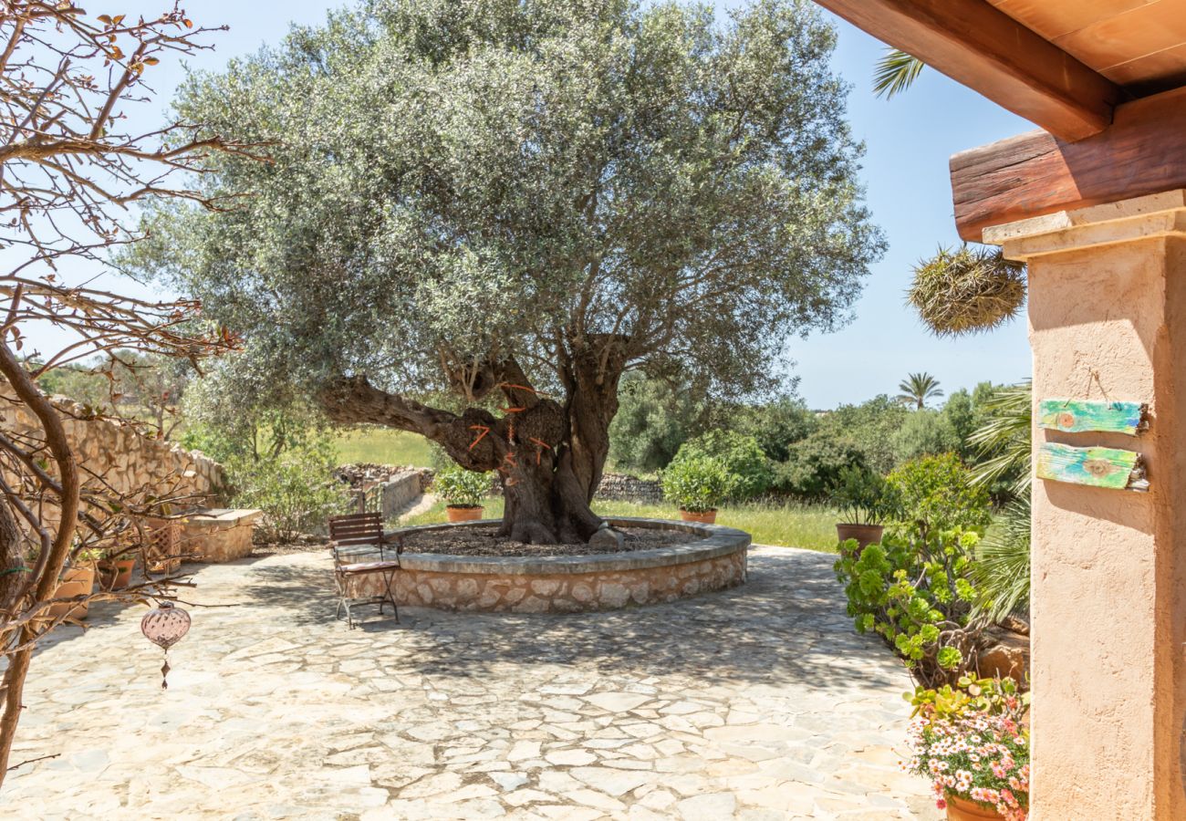 Finca in Santanyi - Finca Aries »