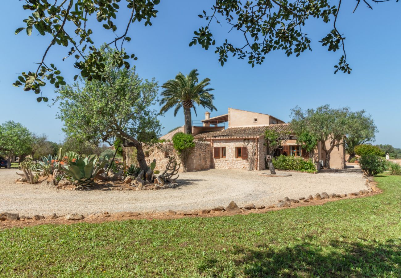 Finca in Santanyi - Finca Aries »