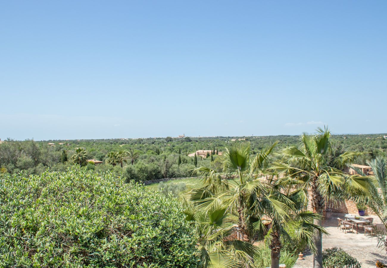 Finca in Santanyi - Finca Aries »