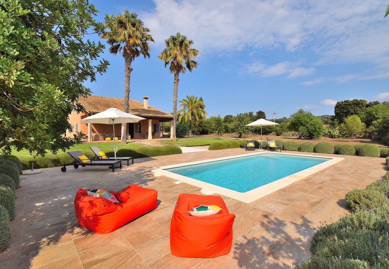 Ferienhaus, Garten, Schwimmbad, Sonnenliegen, Urlaub, Mallorca