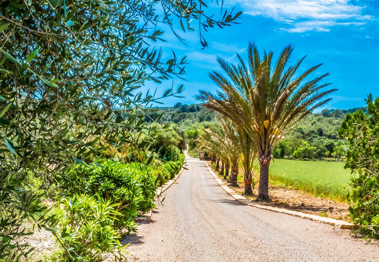 Finca in Cas Concos - Finca Son Peris  Mountain View » Finca im Tal für mit Pool und schönem Weitblick WLAN gratis