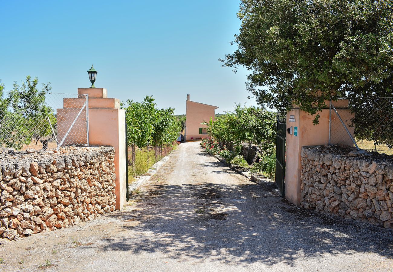 Finca in Santa Margalida - Ballester 034 fantastische Finca mit privatem Pool, großer Terrasse, Grill und Klimaanlage