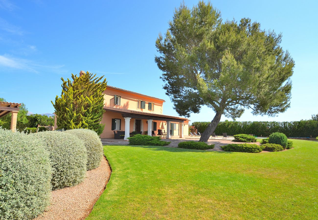 Finca in Binissalem - Villa Melchor 509 by Mallorca Charme