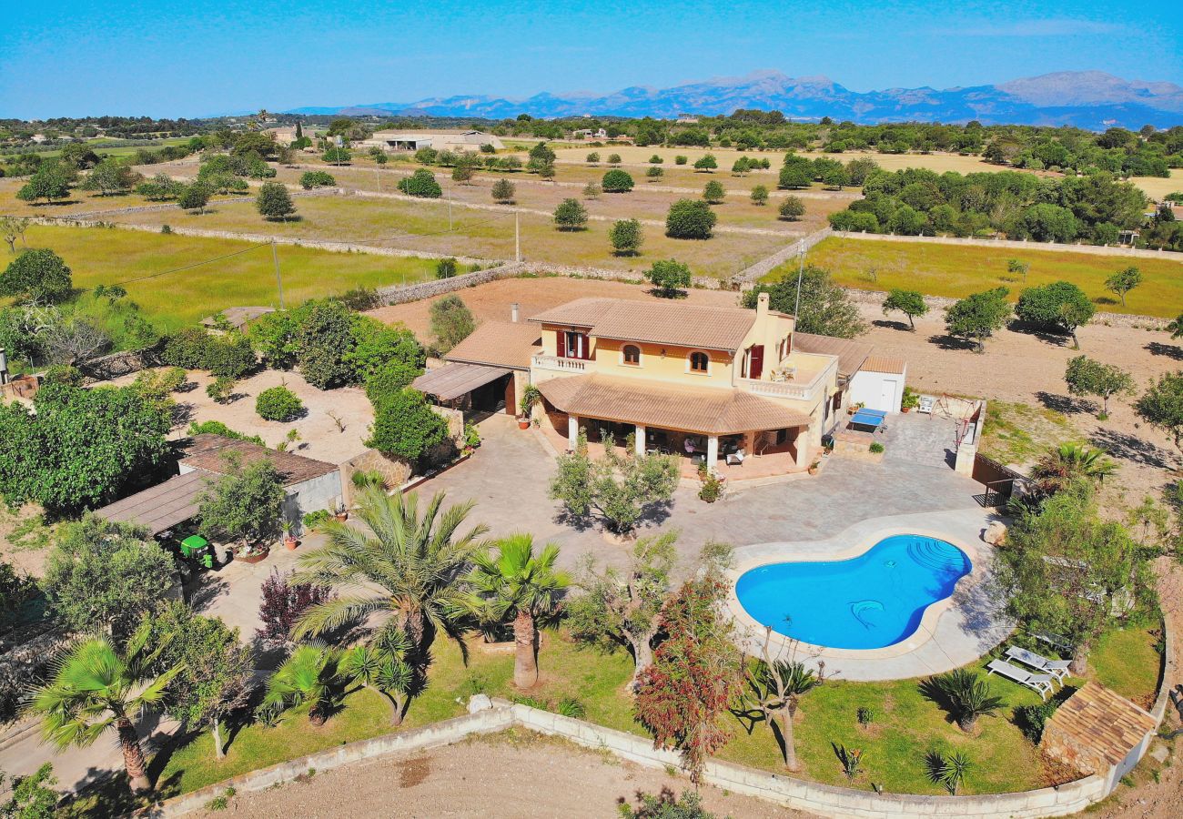 Ferienfinca, Mallorca, Schwimmbad, Garten