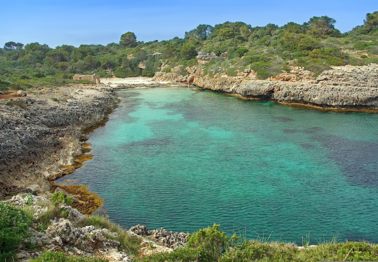 Finca in Portocolom - Pine Tree House Espiga » Quiet place to relax