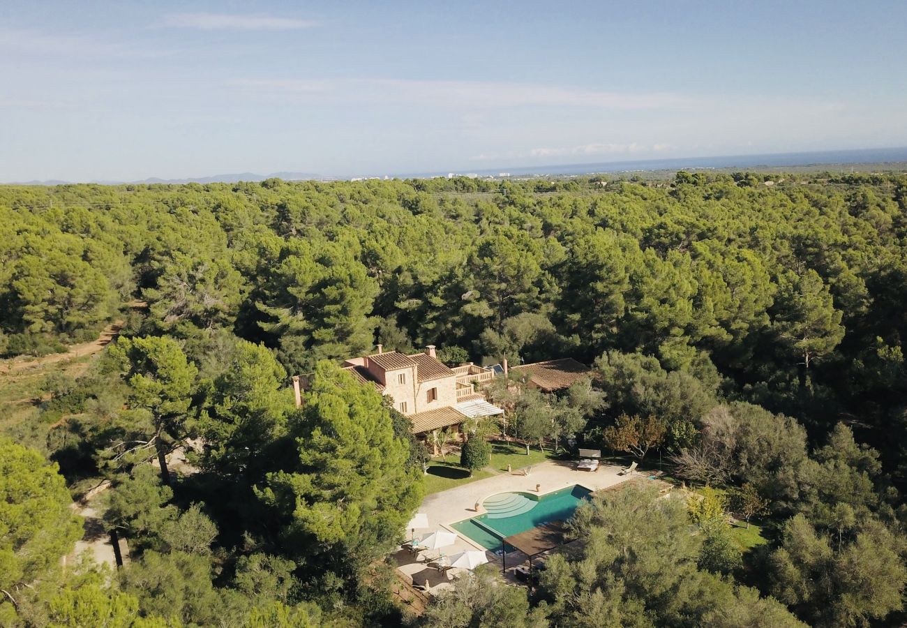 Finca in Portocolom - Pine Tree House Espiga » Quiet place to relax