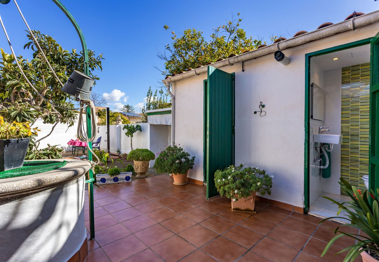 Ferienhaus in Palma  - Casa Vileta >> Mallorquinisches Stadthaus mit viel Flair in Palma