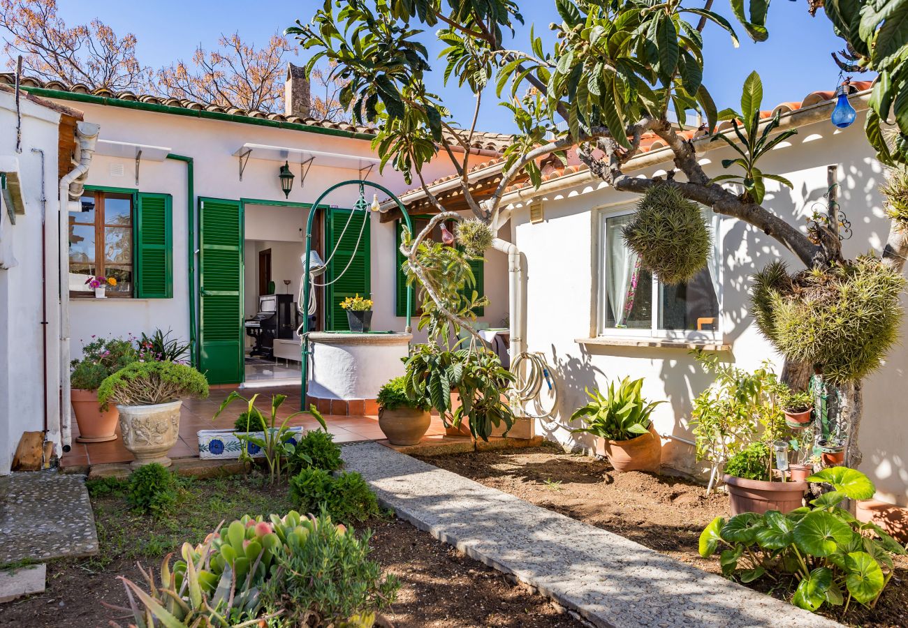 Ferienhaus in Palma  - Casa Vileta >> Mallorquinisches Stadthaus mit viel Flair in Palma