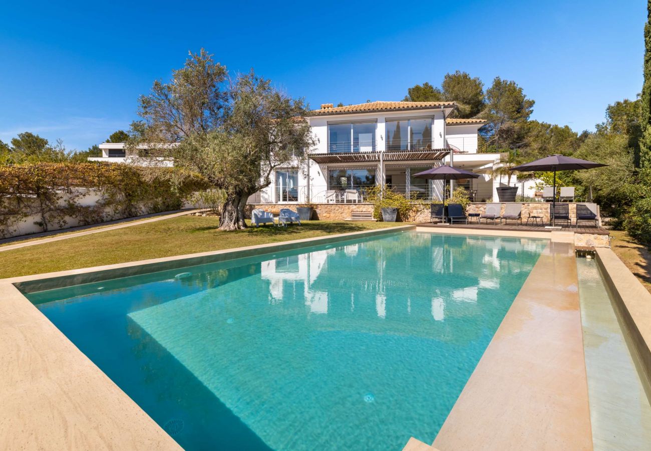 Villa in Pollensa - Villa Vista