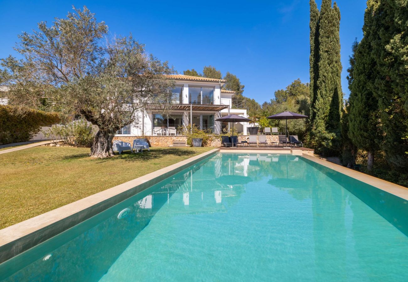 Villa in Pollensa - Villa Vista