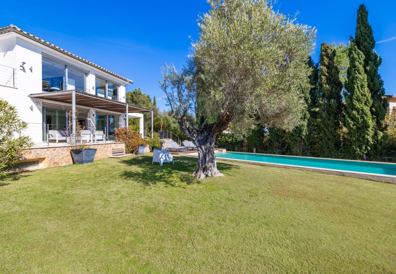 Villa in Pollensa - Villa Vista