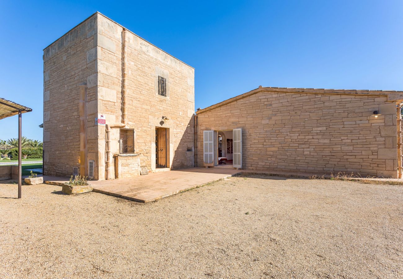 Ferienhaus in Ses Salines - Short des Trenc