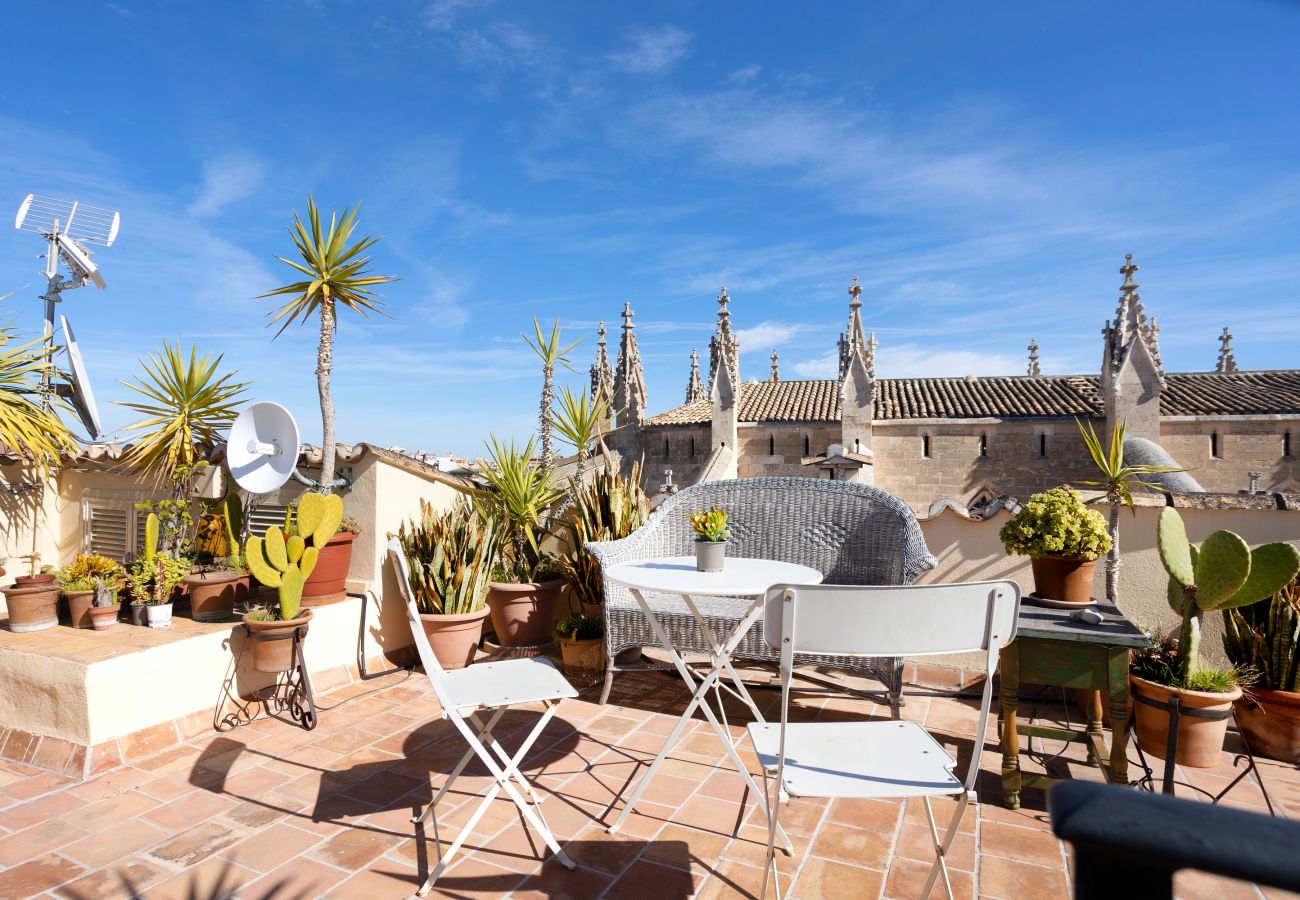 Ferienwohnung in Palma  - Stadtwohnung im Zentrum von Palma 