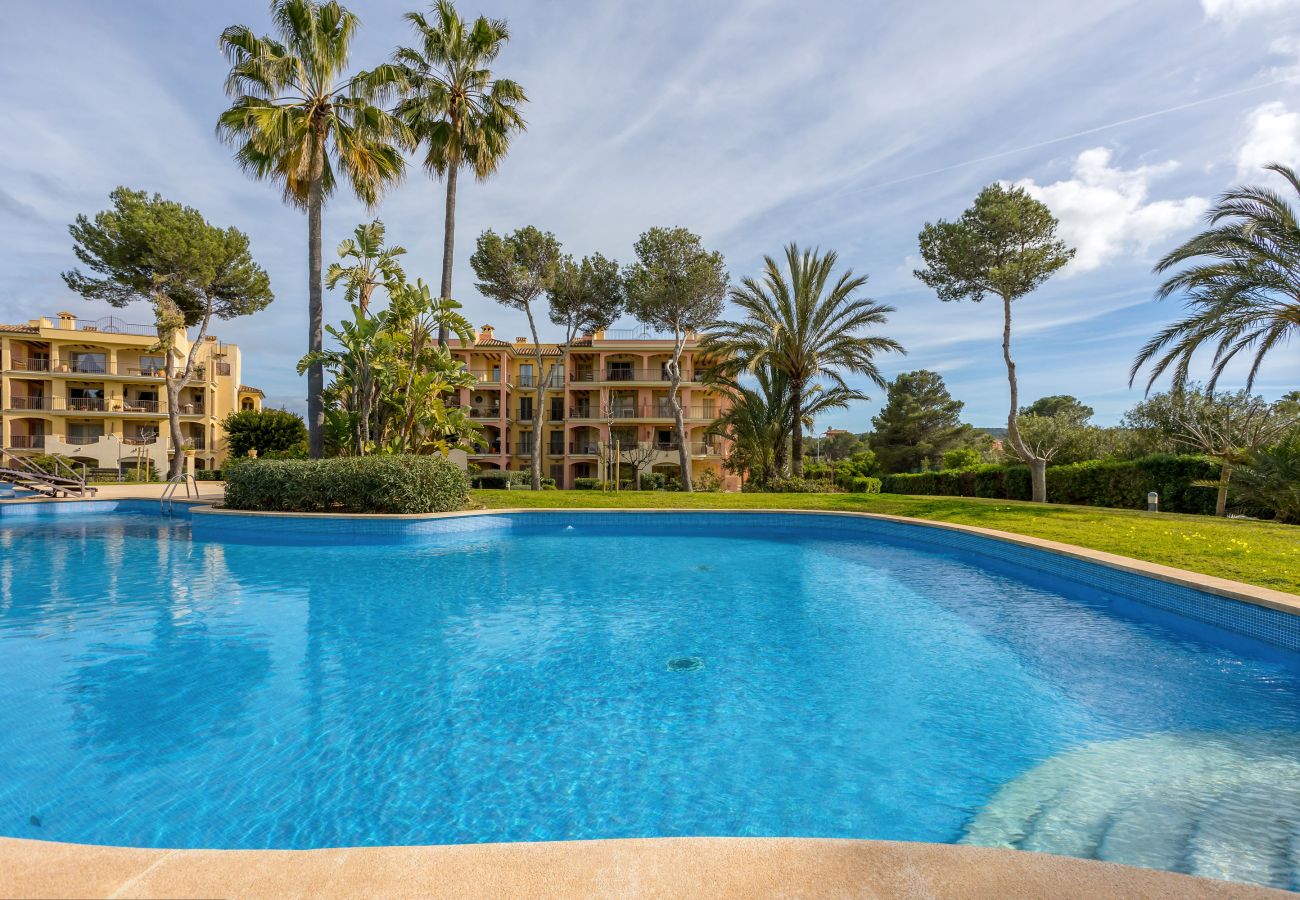 Ferienwohnung in Santa Ponça - Port Adriano Residence stilvolle Unterkunft mit Pool nahe dem Strand in Santa Ponsa verfügbar für temporäre Aufenthalte