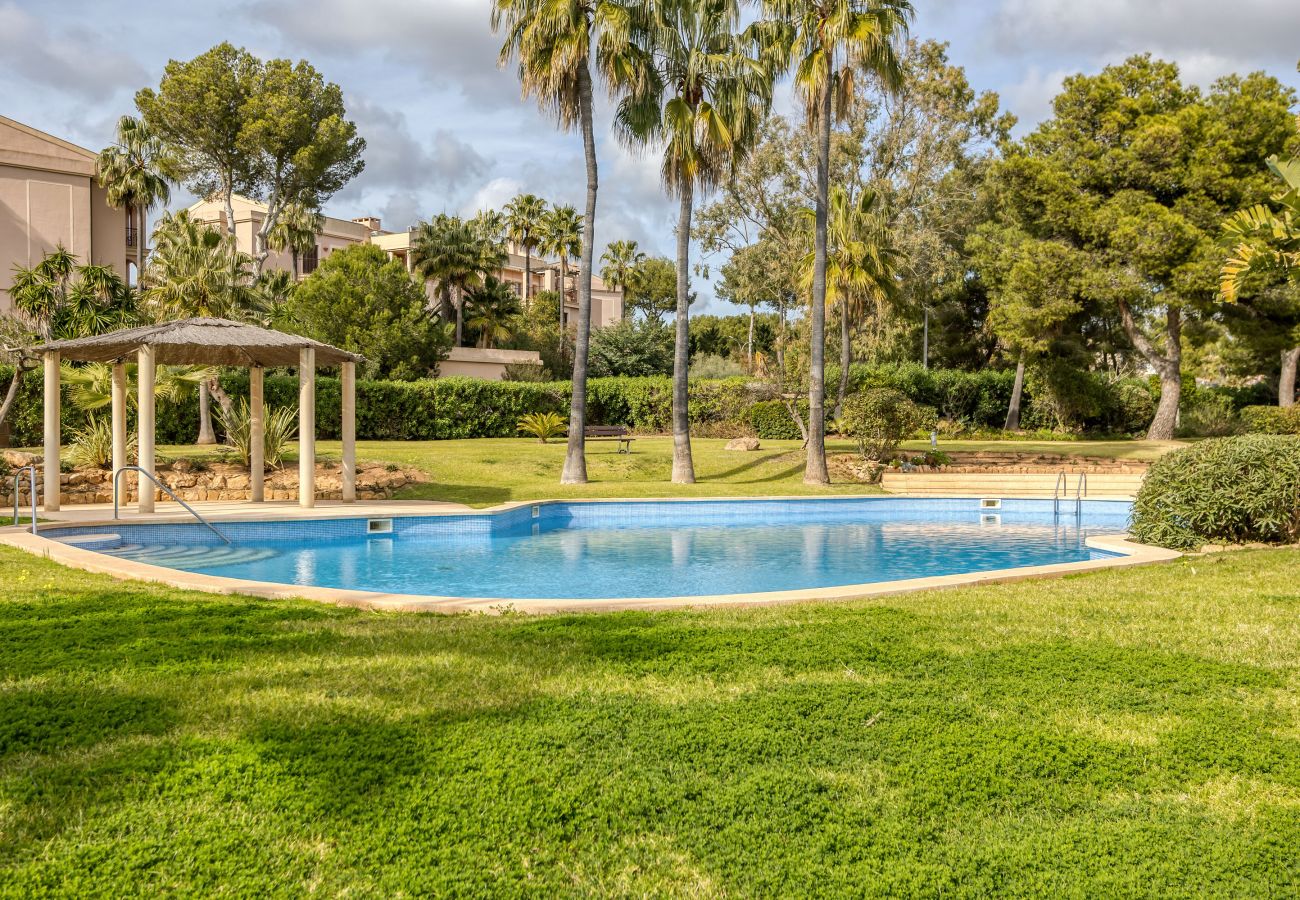 Ferienwohnung in Santa Ponça - Port Adriano Residence stilvolle Unterkunft mit Pool nahe dem Strand in Santa Ponsa verfügbar für temporäre Aufenthalte