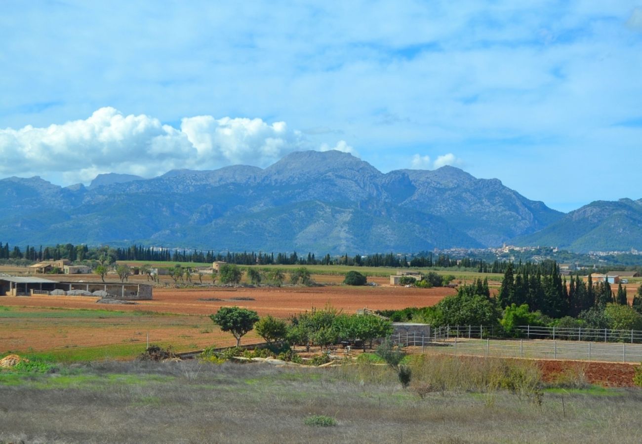 Alquiler de villa en Mallorca