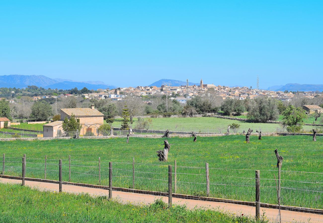 Finca en Llubi - Sa Vinyota Gran 131 finca tradicional con piscina privada, jardín, aire acondicionado y WiFi