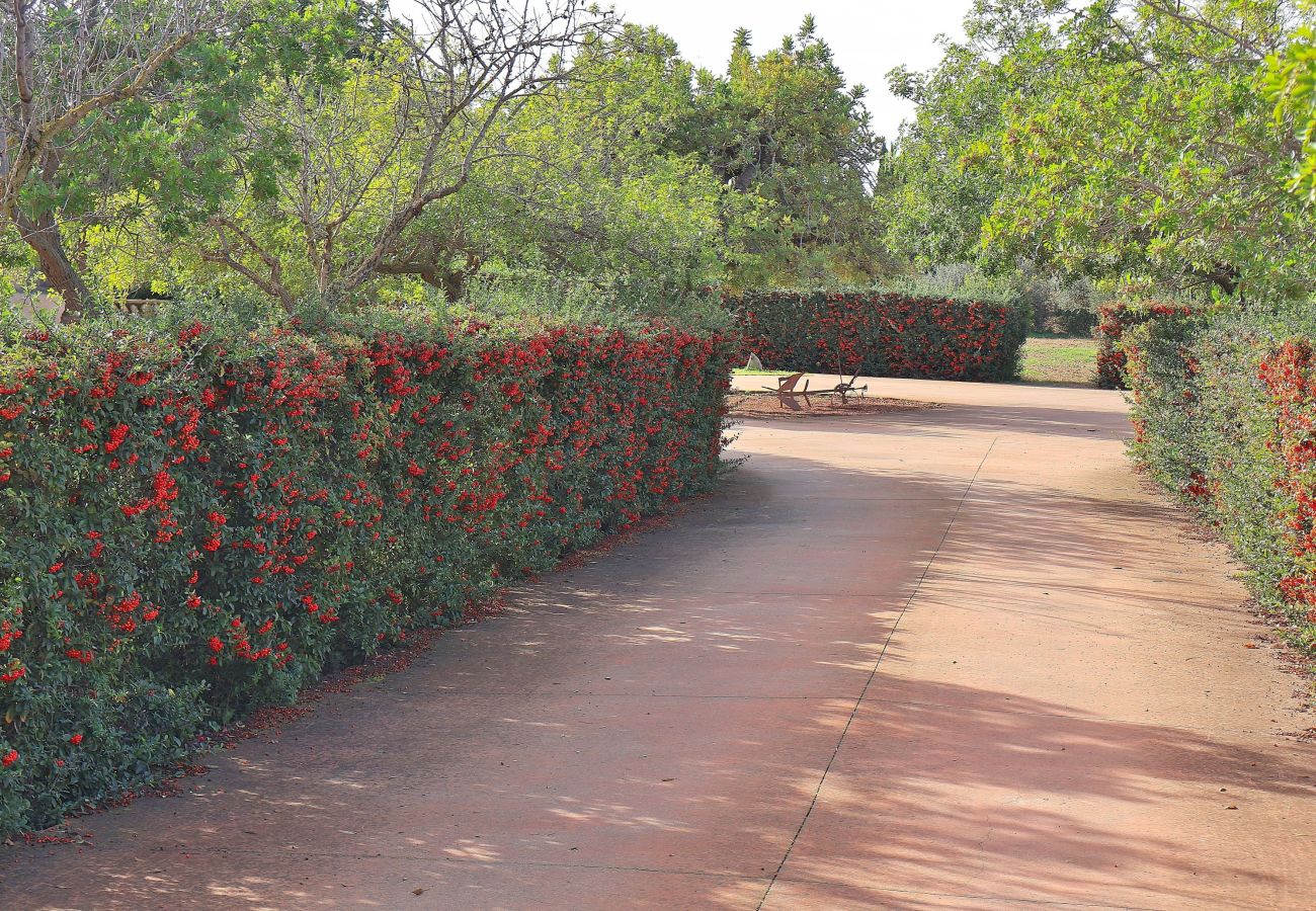 Finca en Binissalem - Es Triquet 151 acogedora villa con piscina privada, terraza, barbacoa y WiFi