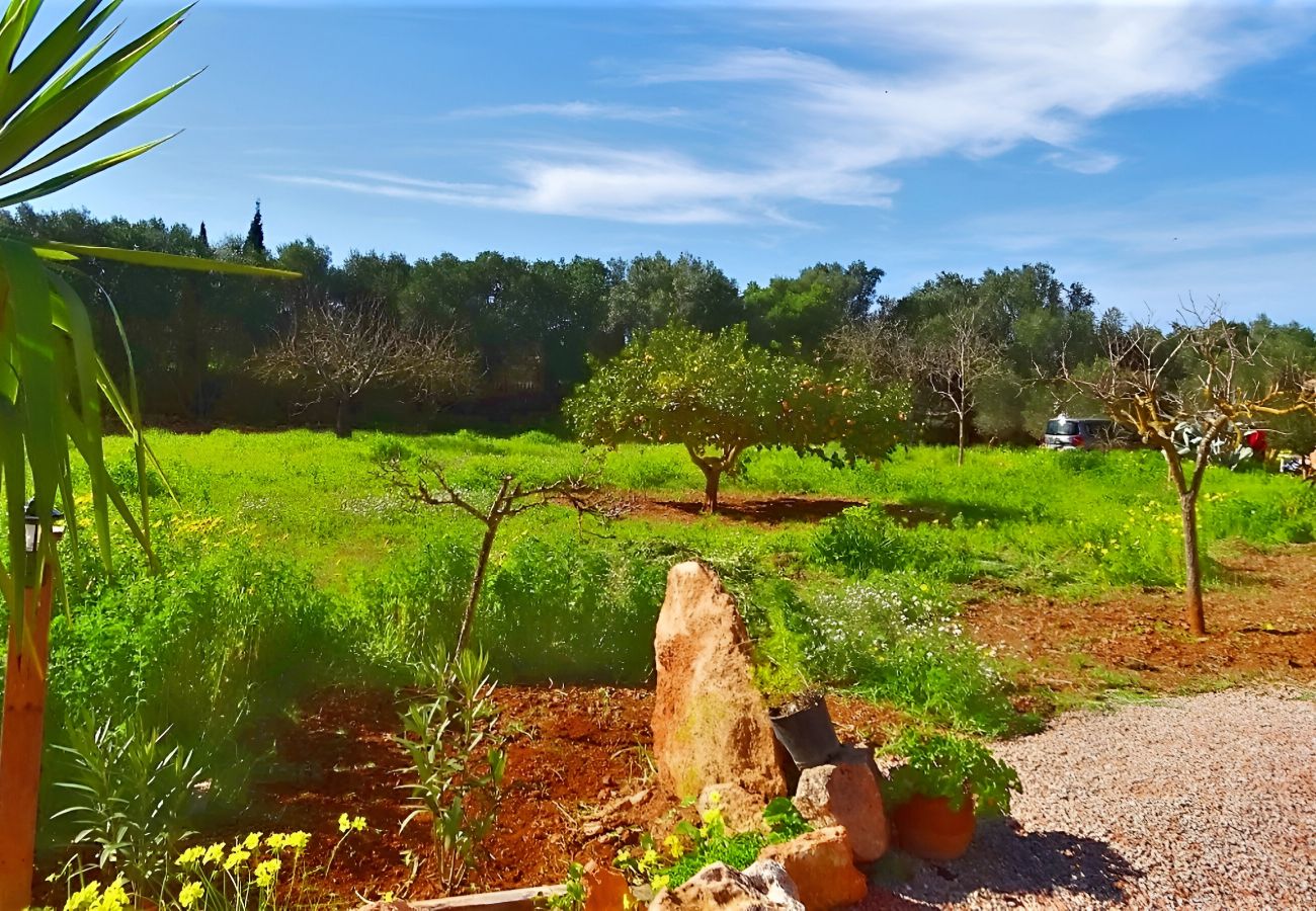 Finca en Llucmajor - Son Antem 420 fantástica finca con piscina privada, terraza, barbacoa y aire acondicionado