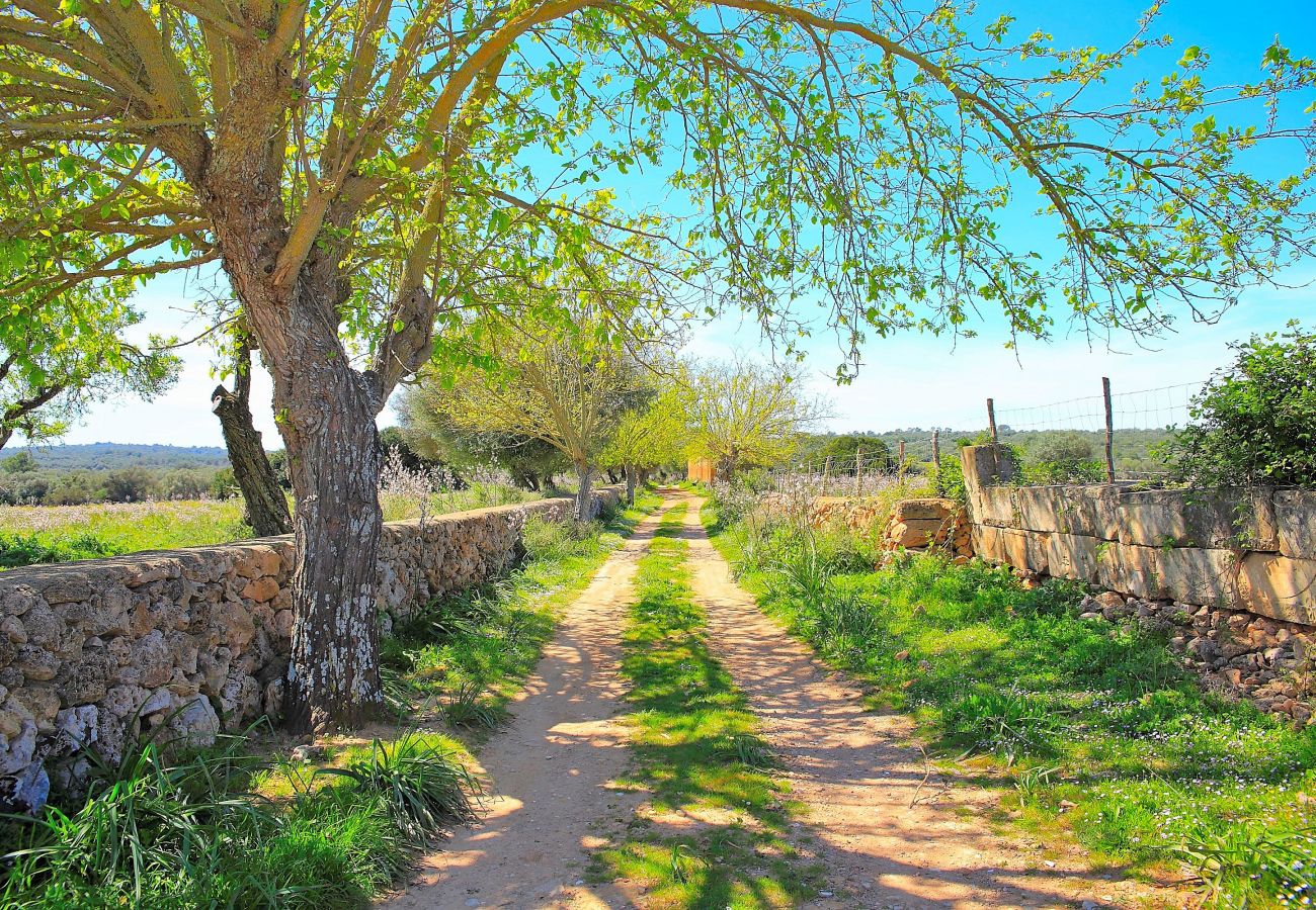 Finca en Son Serra de Marina - Sa Cabaneta 235 tradicional finca con piscina privada, jardín, barbacoa y WiFi