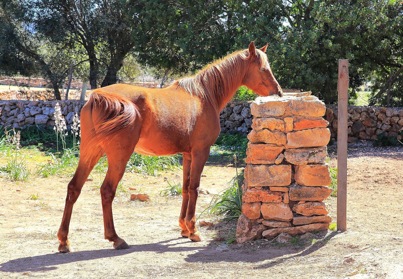 Finca en Son Serra de Marina - Sa Cabaneta 235 tradicional finca con piscina privada, jardín, barbacoa y WiFi