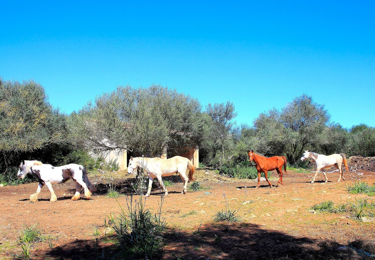 Finca en Son Serra de Marina - Sa Cabaneta 235 tradicional finca con piscina privada, jardín, barbacoa y WiFi