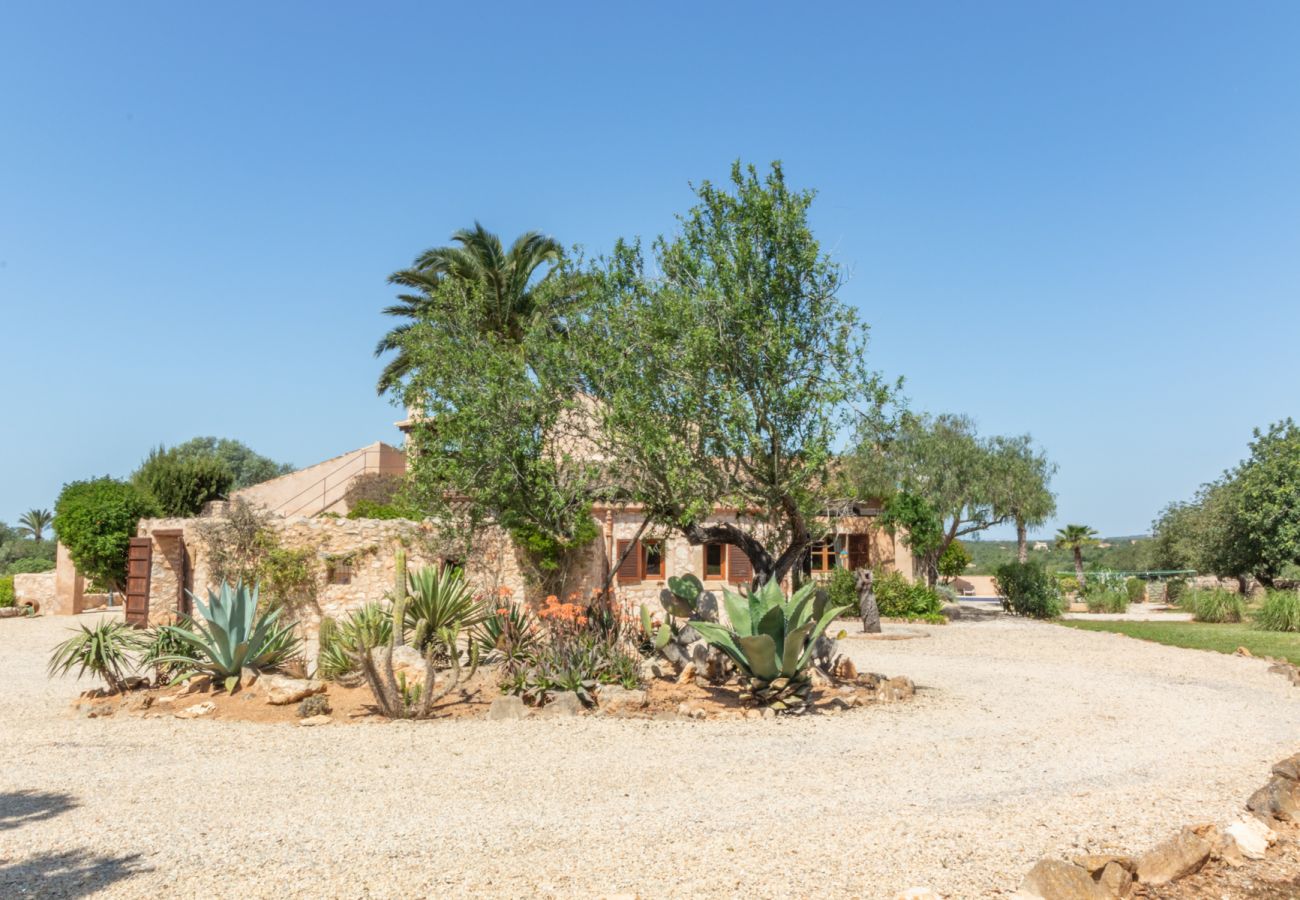 Finca en Santanyi - Finca Aries Finca de estilo mallorquín para alquileres mensuales en Santanyi