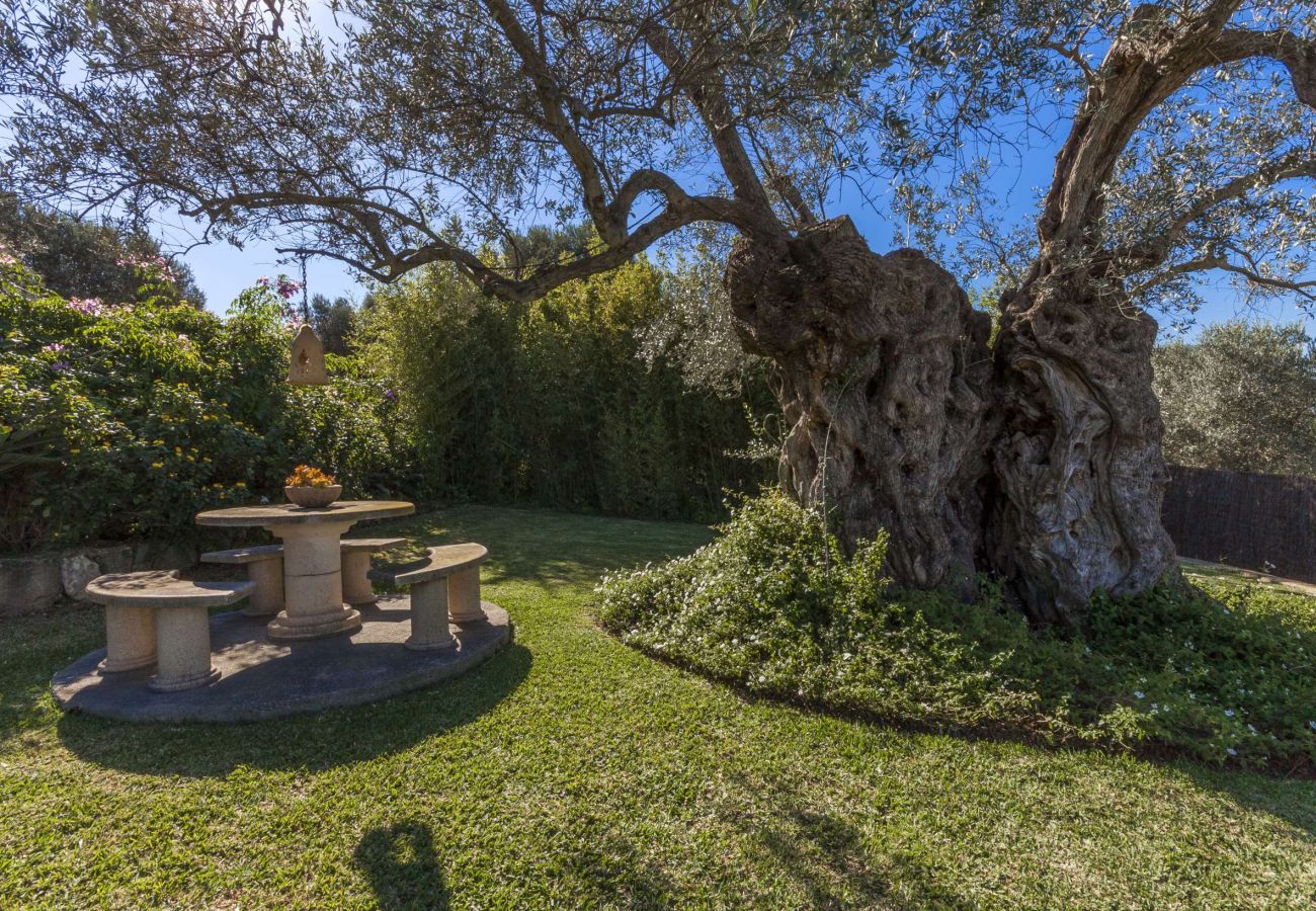 Villa en Pollensa - Rota De Morell