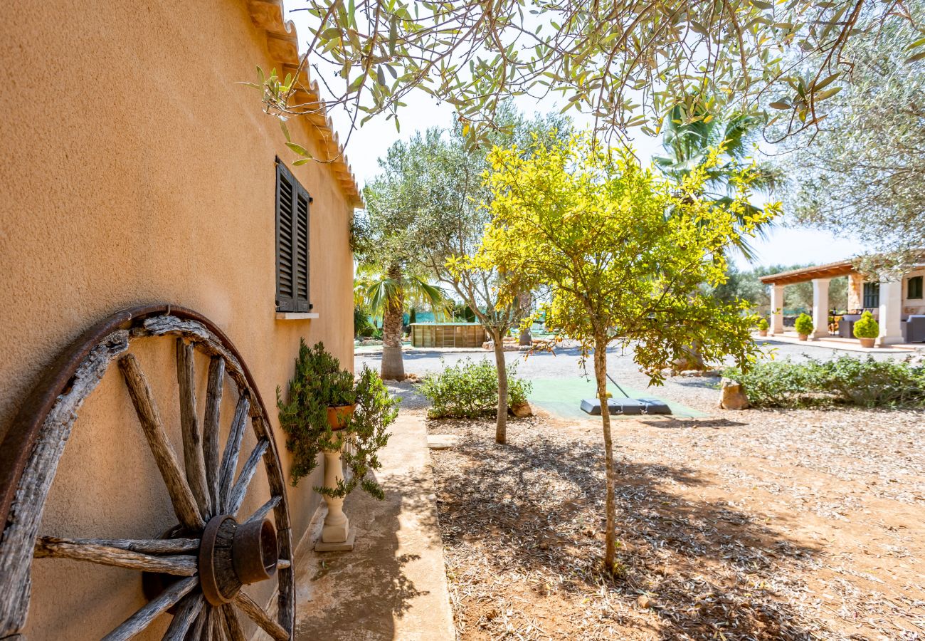 Finca en Cala Santanyi - Chalet Turo by dracmallorca