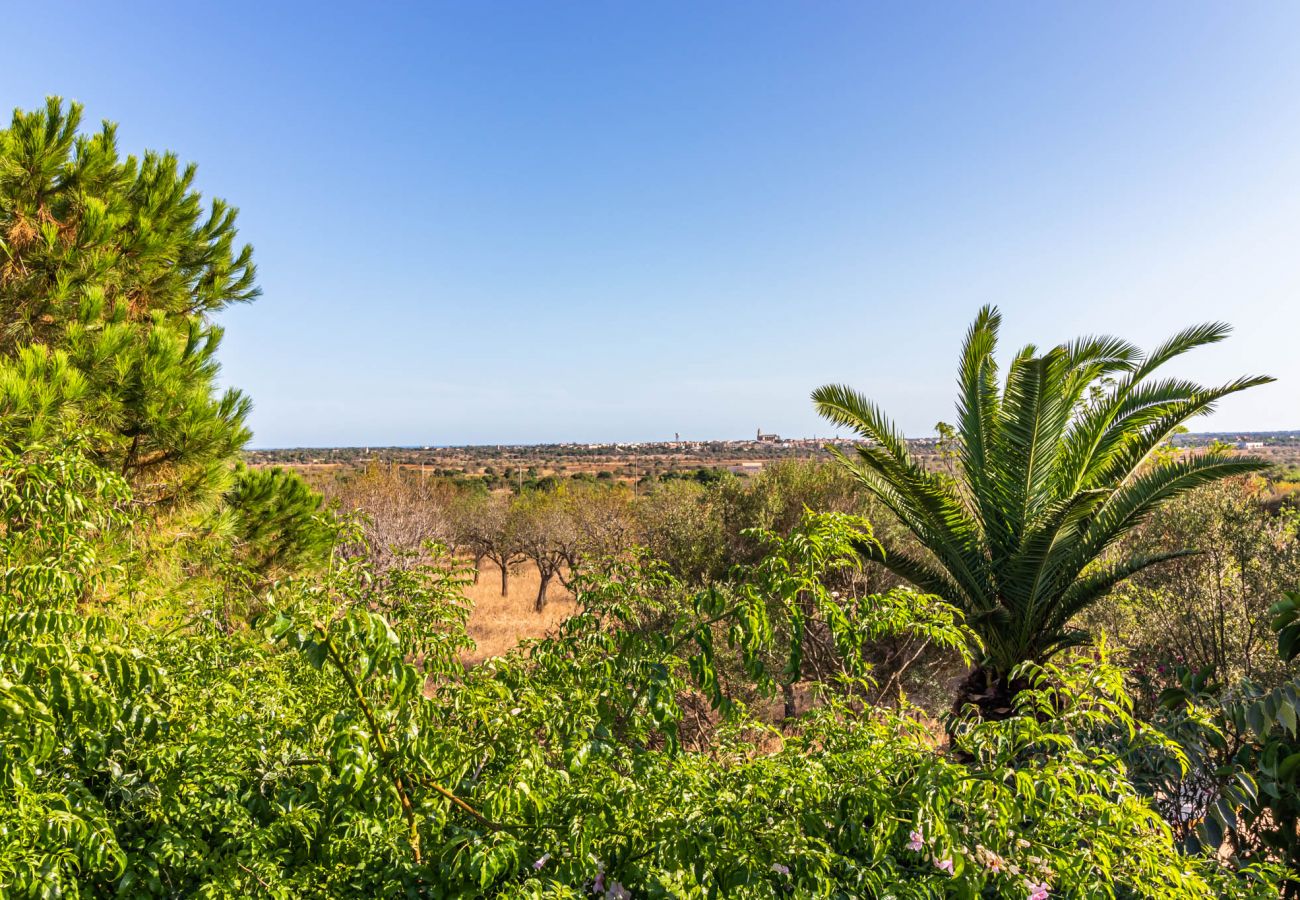 Finca en Santanyi - Can Blai Blai - finca con idílico jardín, vistas y piscina