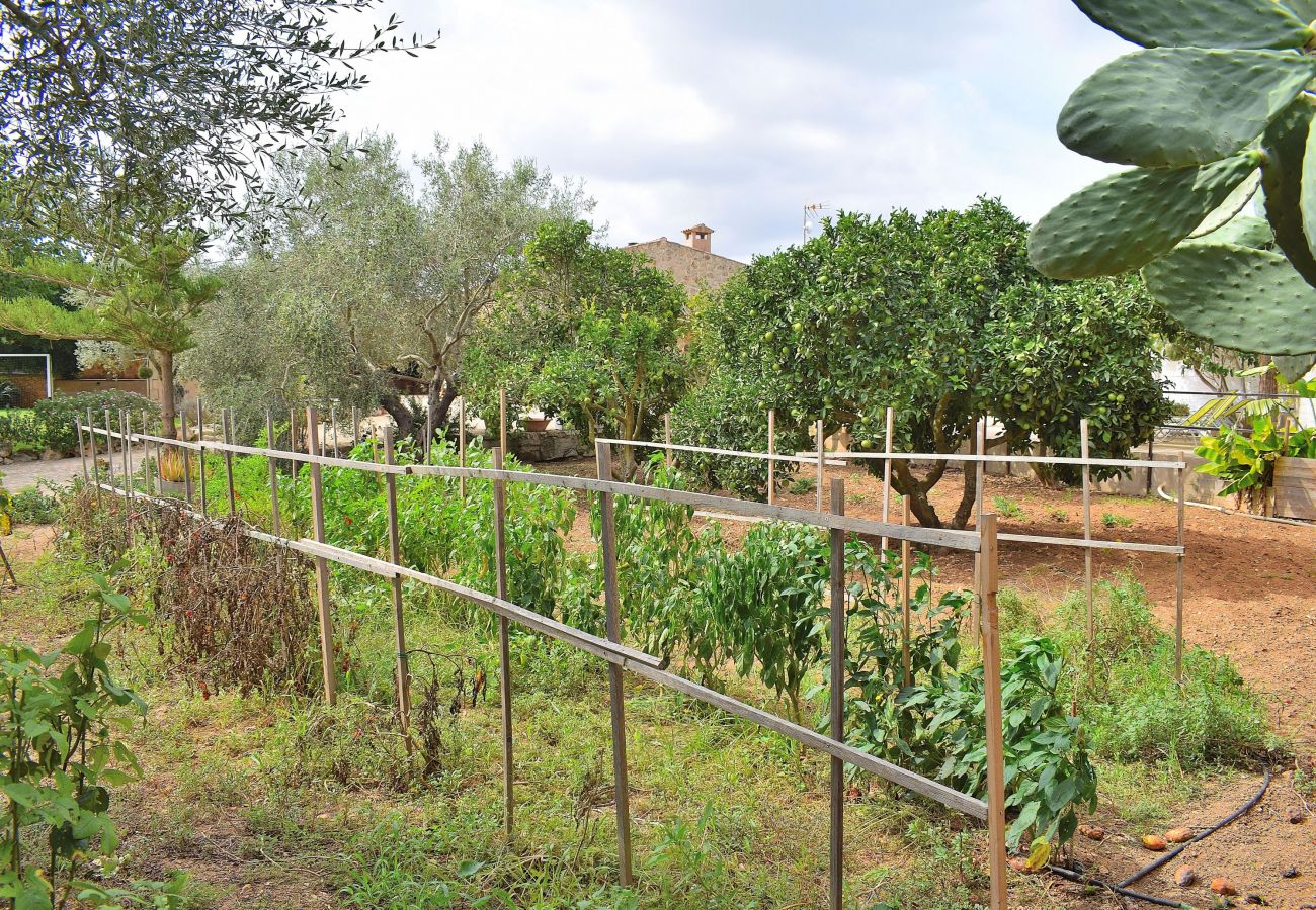 Finca en Manacor - Son Fonto 097 maravillosa finca con piscina privada, jardín, zona de juegos, bicicletas y aire acondicionado