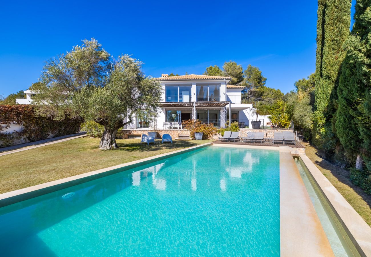 Villa en Pollensa - Villa Vista