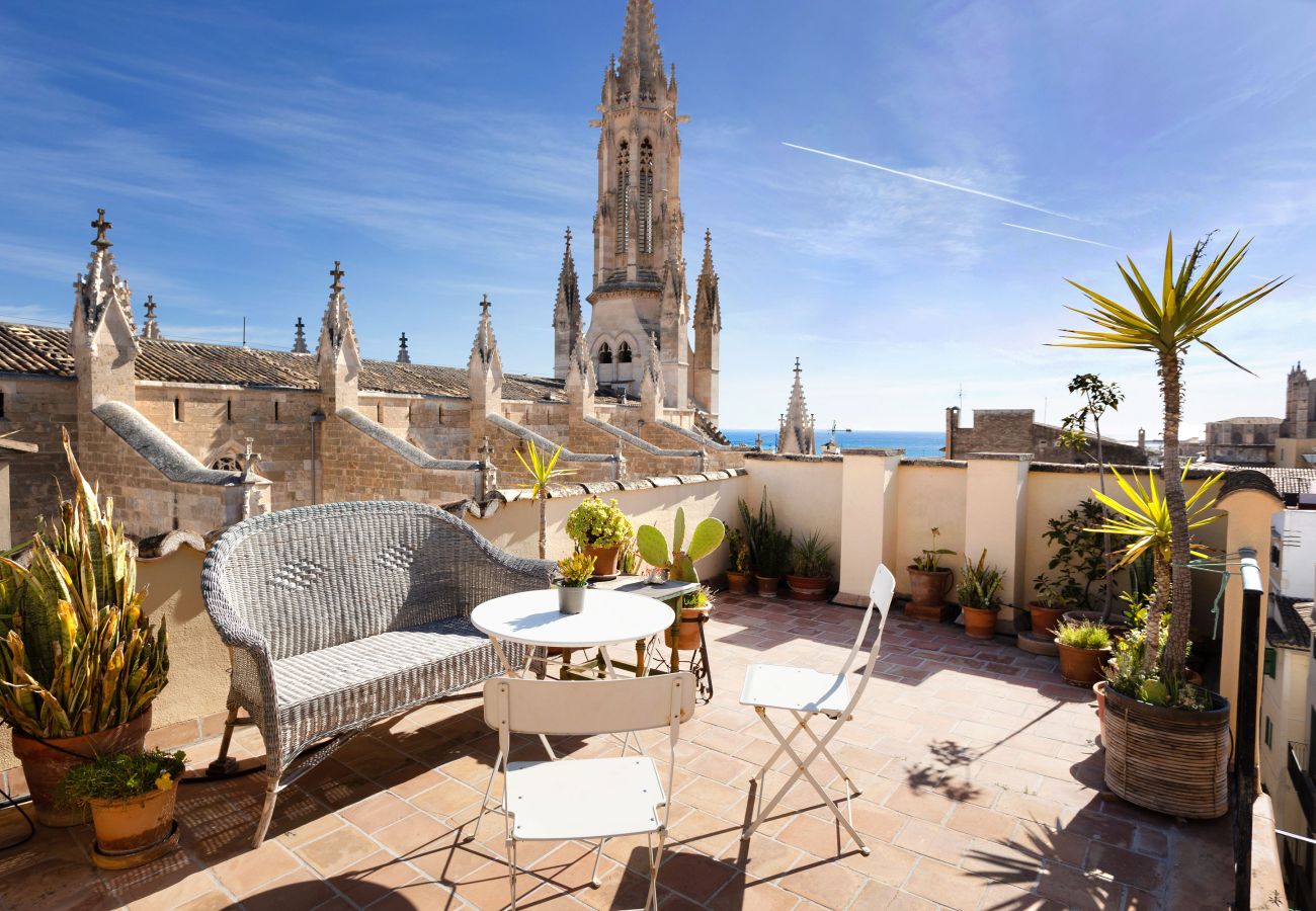 Apartamento en Palma  - Apartamento en el centro de Palma 