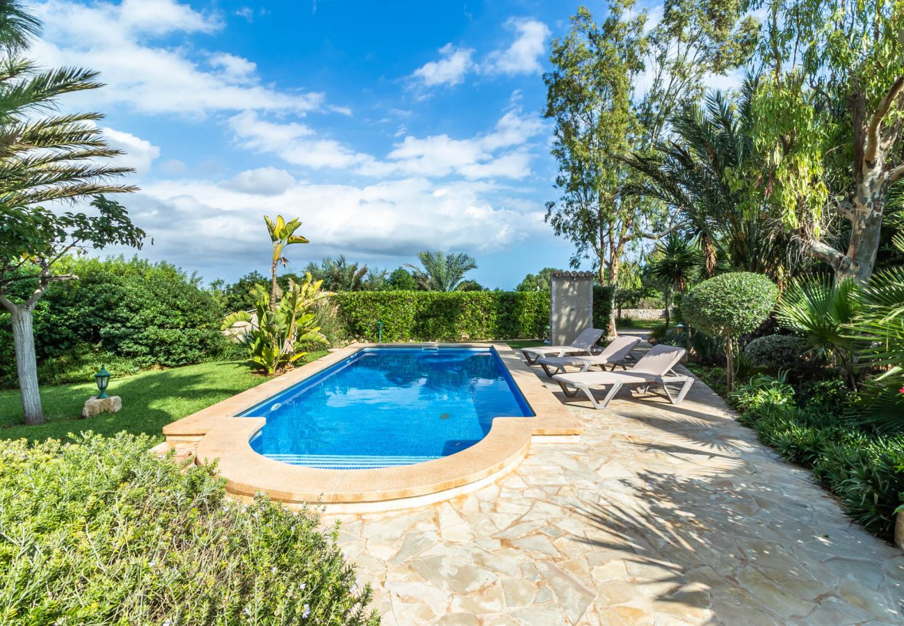 Country house in Santanyi - Finca Sa Barraca » cozy finca with charming garden and pool