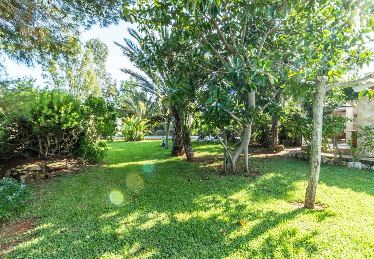 Country house in Santanyi - Finca Sa Barraca » cozy finca with charming garden and pool