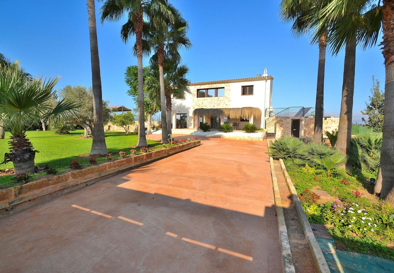 Rent villa in Majorca