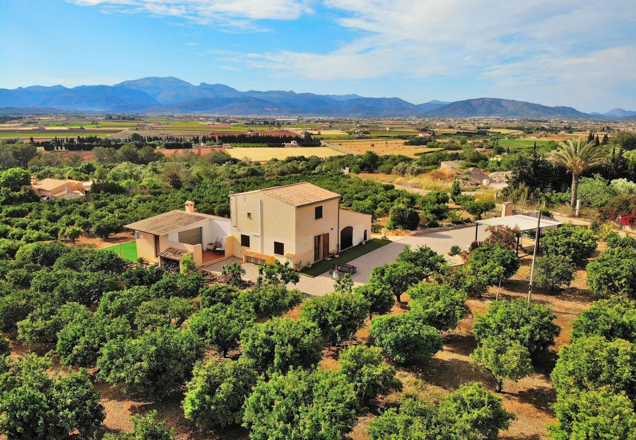 Country house in Muro - Els Tarongers 081 fantastic finca with private pool, air conditioning, terrace and barbecue