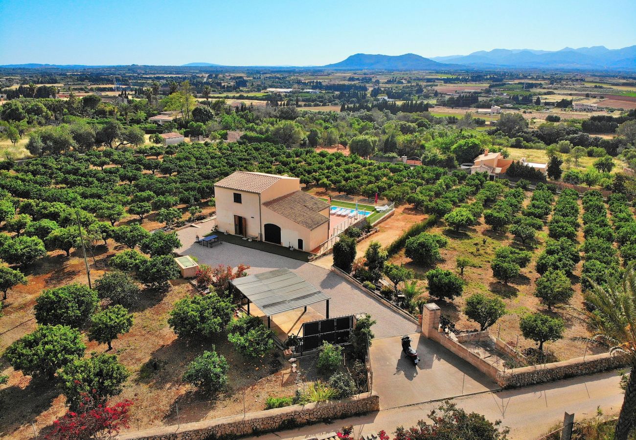 Country house in Muro - Els Tarongers 081 fantastic finca with private pool, air conditioning, terrace and barbecue