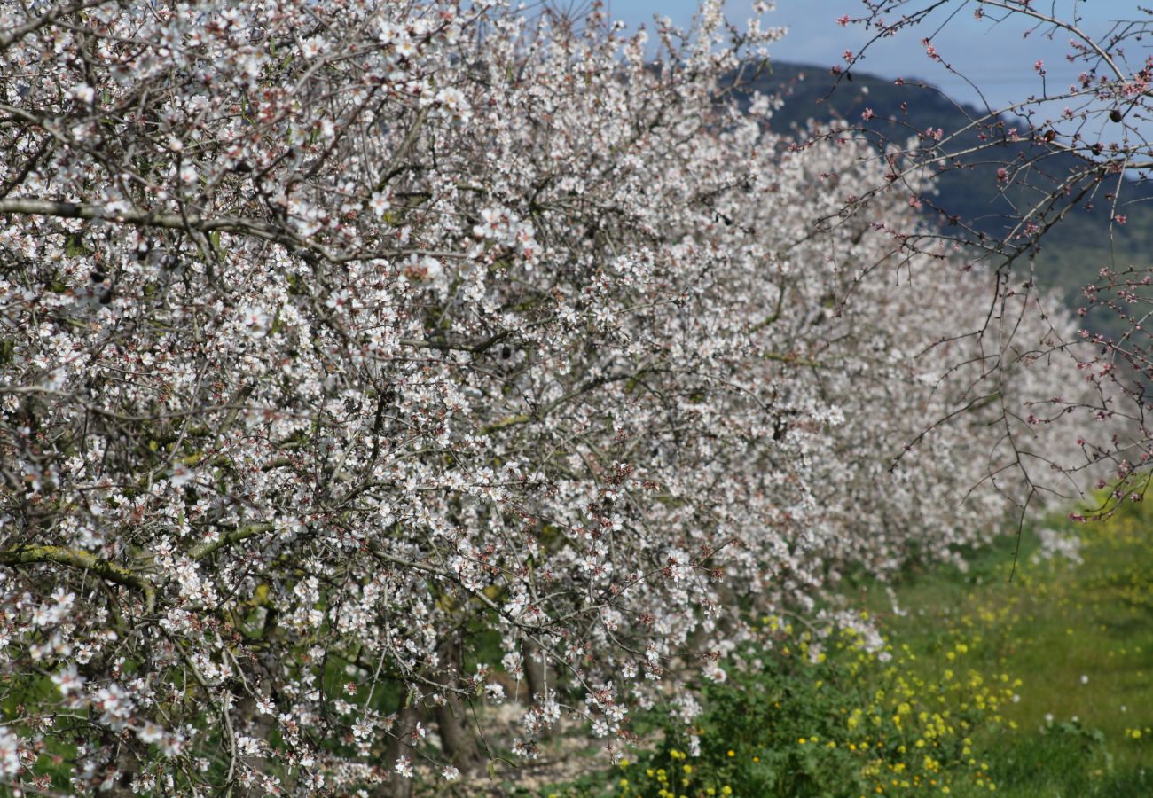 Country house in Alcudia - Can Roig 113 fantastic finca with private pool, garden, children's area and air-conditioning