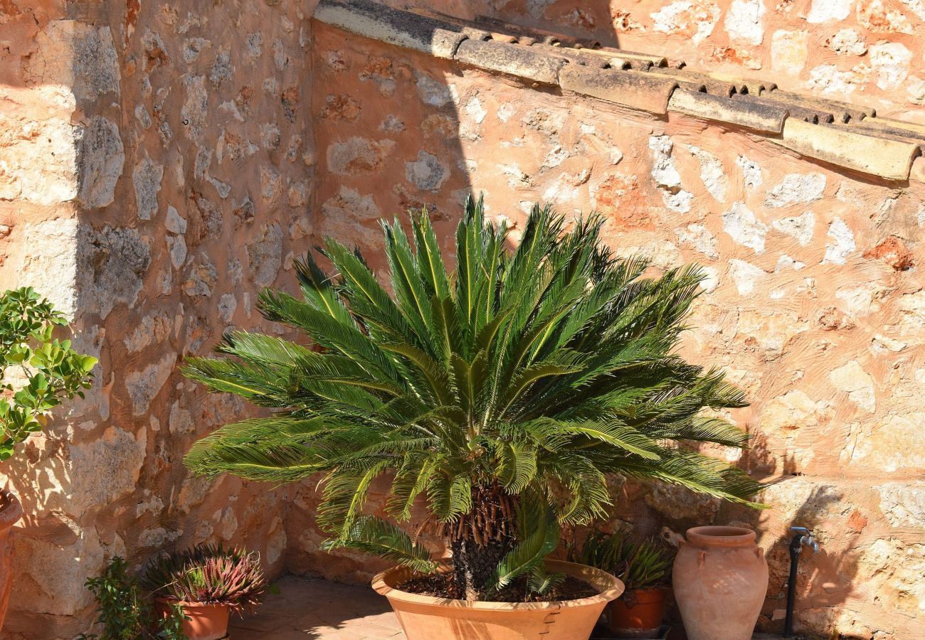 Country house in Llubi - Son Sitges 139 cosy finca with private pool, children's playground, terrace and barbecue area