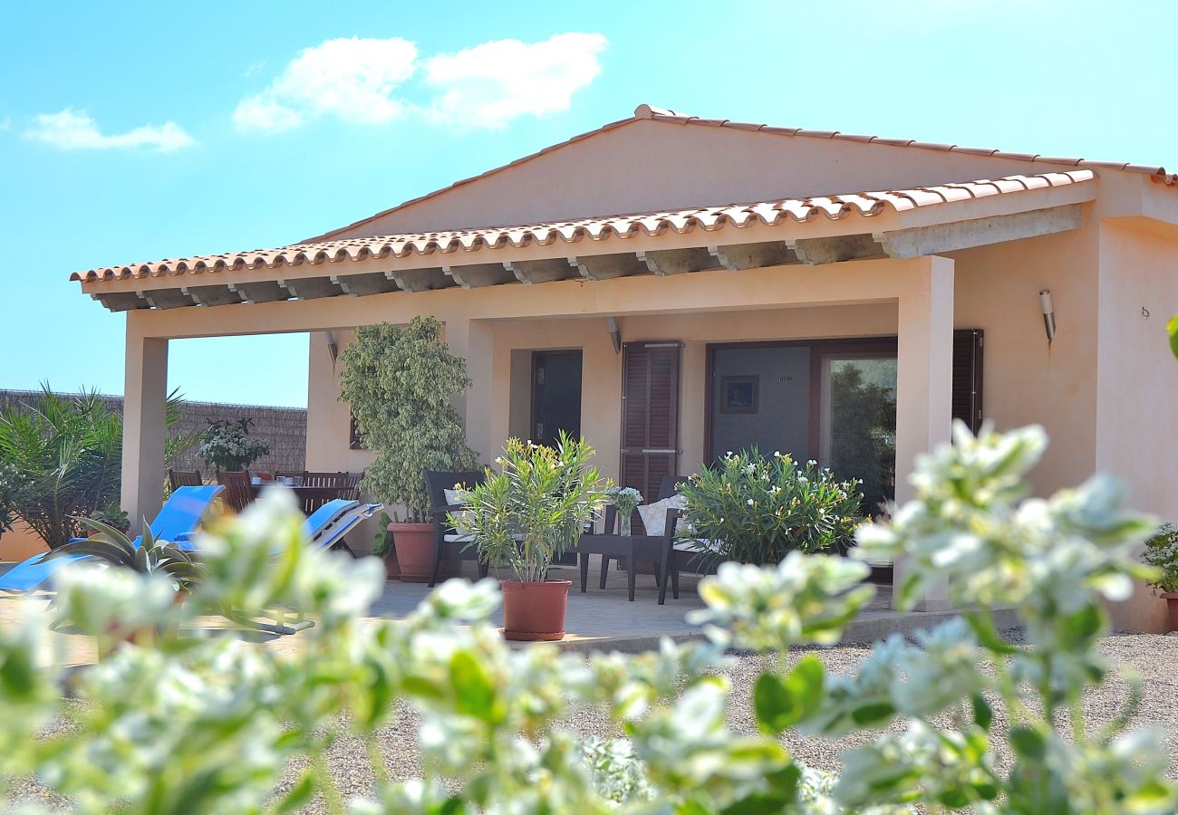 From 100 € per day you can rent your villa in Mallorca