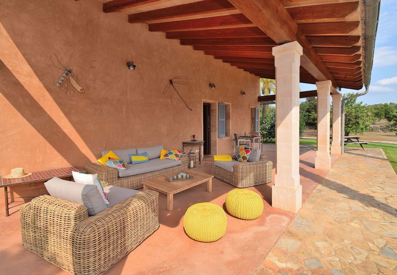 Villa in Muro - Casa Nuria 019 fantastic finca with private pool, terrace, garden and billiard