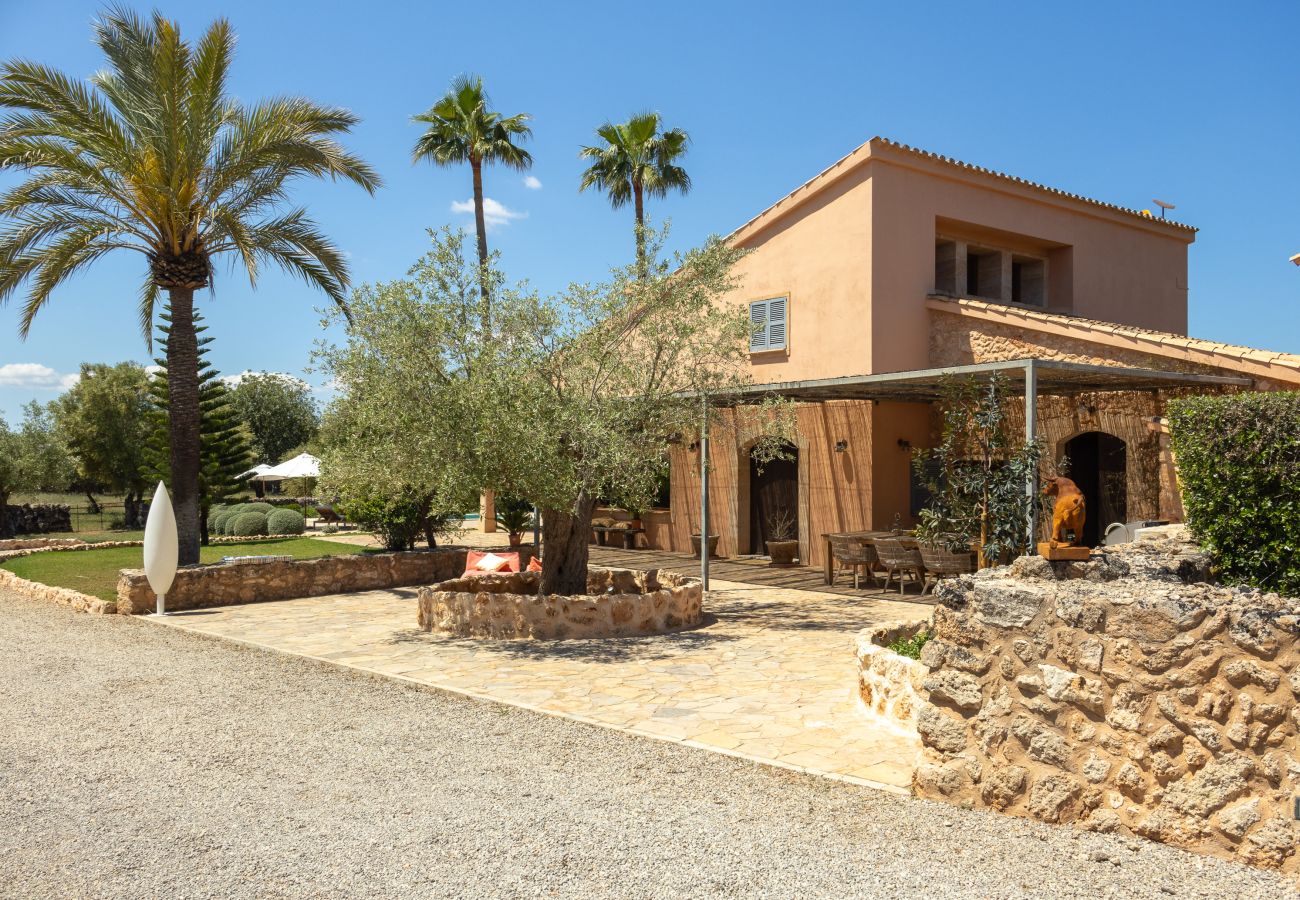 Villa in Muro - Casa Nuria 019 fantastic finca with private pool, terrace, garden and billiard