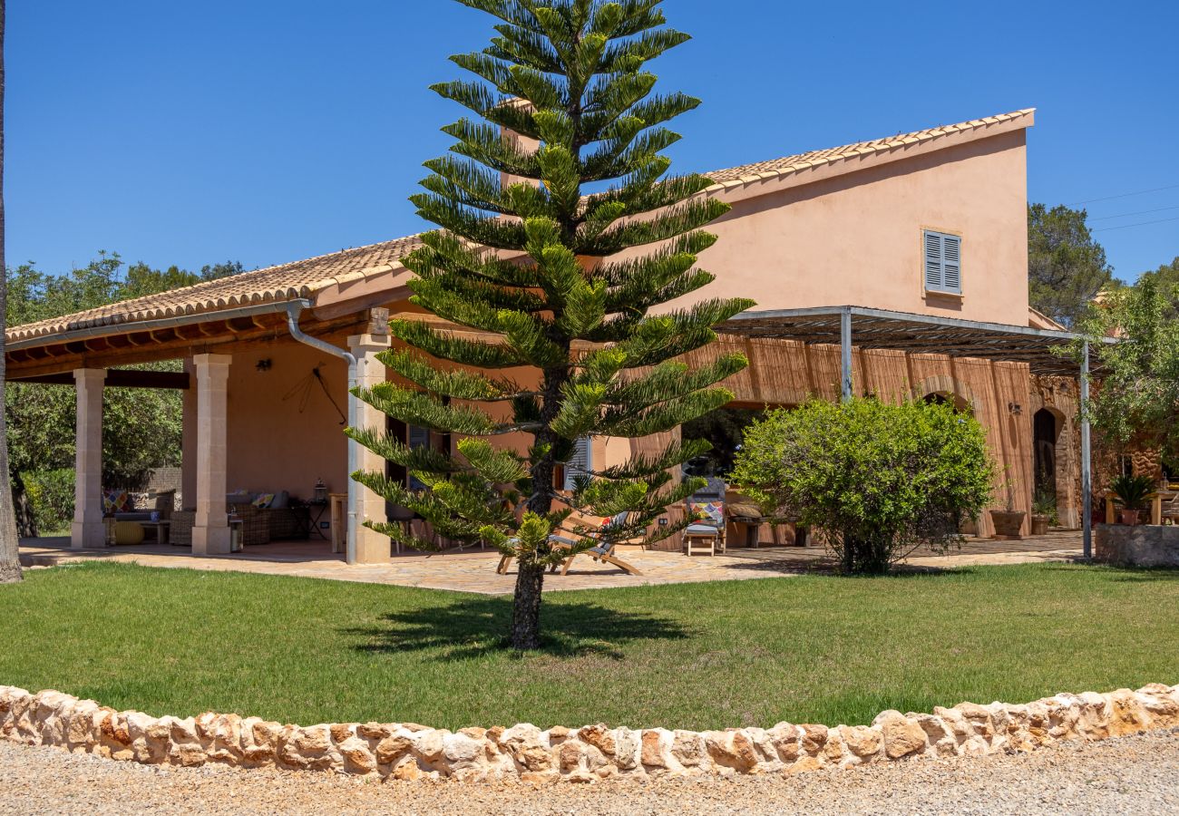 Villa in Muro - Casa Nuria 019 fantastic finca with private pool, terrace, garden and billiard